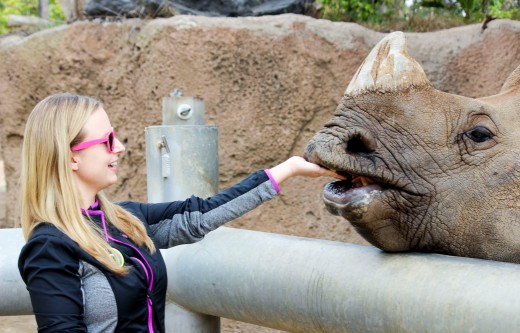 San Diego Zoo Kristen with Rhino